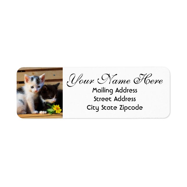 Cute Kittens and Flowers Return Address Label (Front)