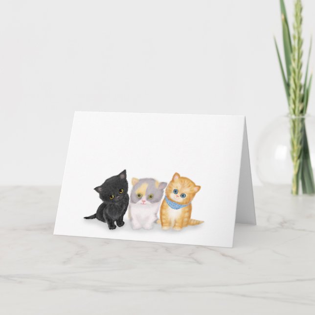 Cute kittens blank greetings card (Front)