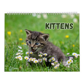 Cute Kittens  Calendar