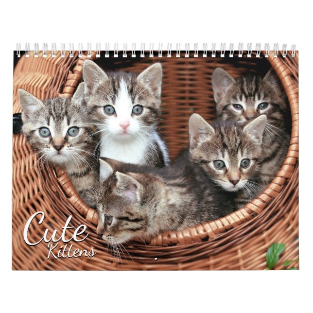 Cute Kittens Cat Pet Photo Calendar (Cover)