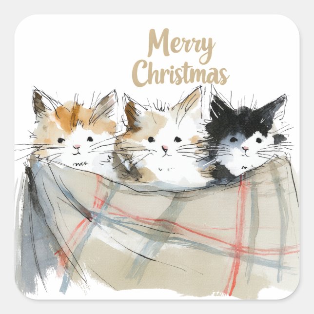 Cute Kittens Christmas Square Sticker (Front)