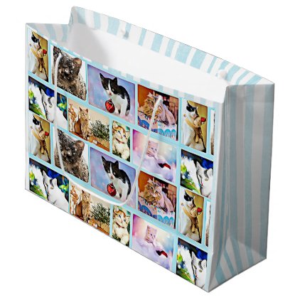 Cute Kittens Collage Christmas Pale Blue Gift Bag