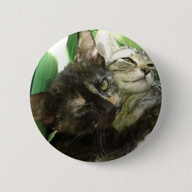 Cute kittens cuddling button (Front)