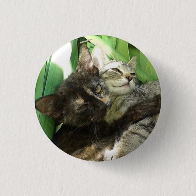 Cute kittens cuddling button (Front)