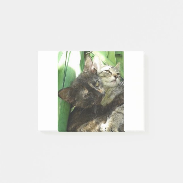 Cute kittens cuddling post-it notes (Front)