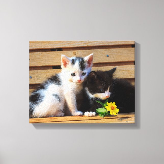 Cute Kittens Flowers Cat Photo Canvas Print (Front)