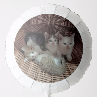 Cute Kittens in Basket Balloon