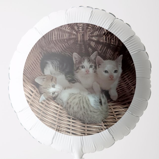 Cute Kittens in Basket Balloon (Front)