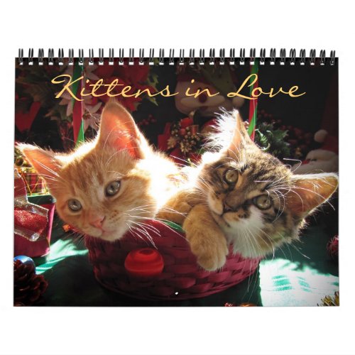 Cute Kittens in Love Kitty Cat Calendar 2014