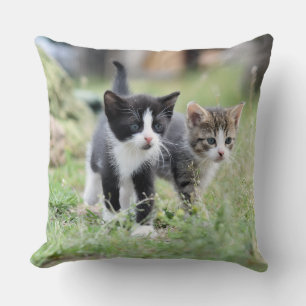 Cute Kittens in Nature Decorative Throw Pillow