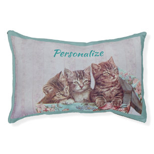 Cute Kittens in Vintage Hat Box Cat Pet Bed