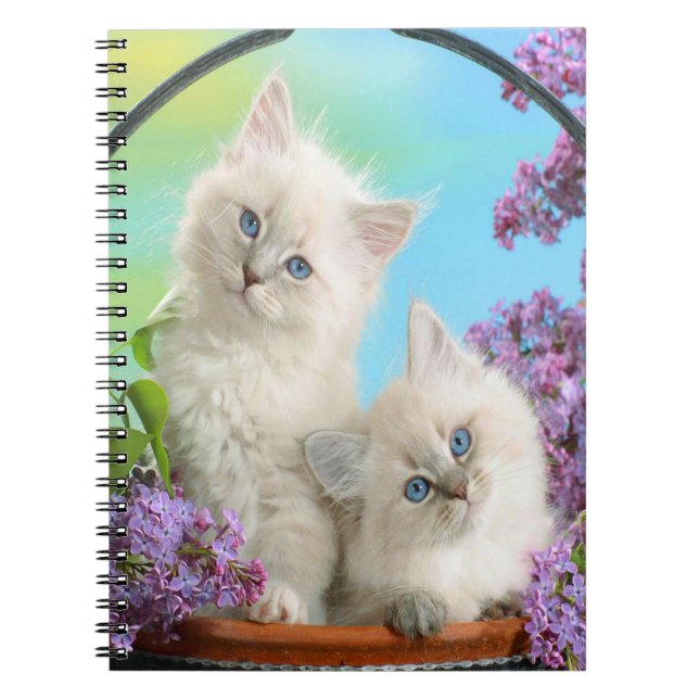 Cute Kittens Notebook (Front)