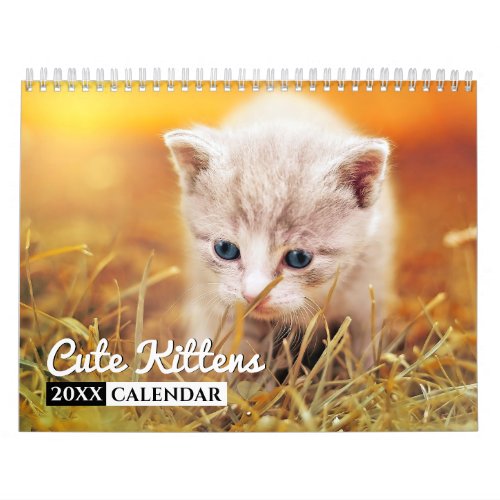 Cute Kittens Photo Wall Calendar