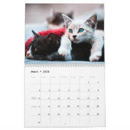 Cute Kittens Photo Wall Calendar | Zazzle