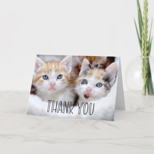 Cute Kittens Photo Whimsical Typography Thank You Card (Front)
