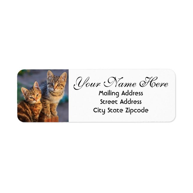 Cute Kittens Return Address Label (Front)