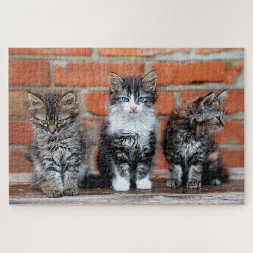 Cute Kittens Sitting In Front Of A Brick Wall Jigsaw Puzzle
