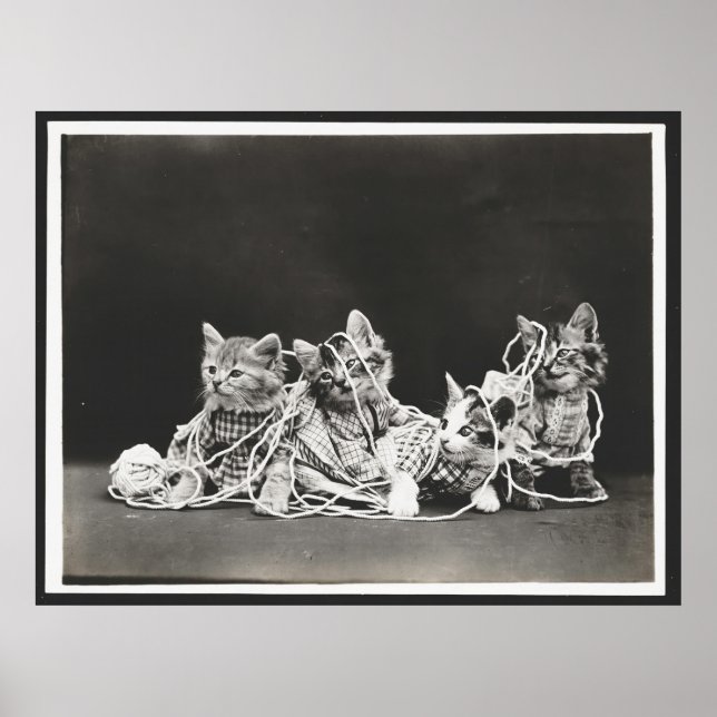 Cute Kittens Tangled In Yarn Art Print (Front)