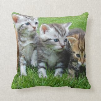 Cute Kittens Throw Pillow