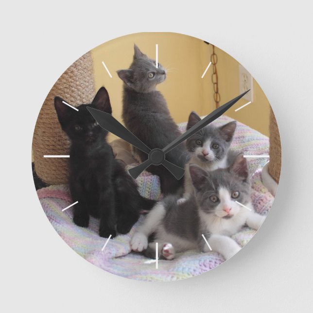 Cute Kittens Wall Clock (Front)