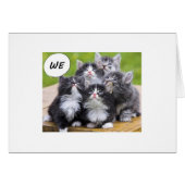 CUTE KITTENS WISH SOMEONE A HAPPY BIRTHDAY (Front Horizontal)