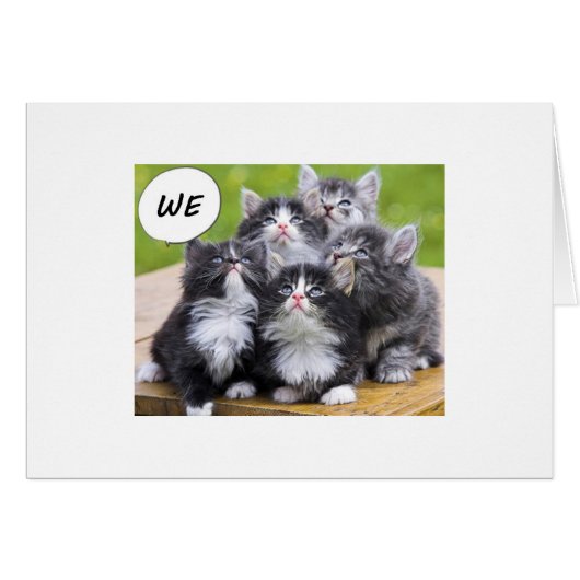 CUTE KITTENS WISH SOMEONE A HAPPY BIRTHDAY (Front Horizontal)