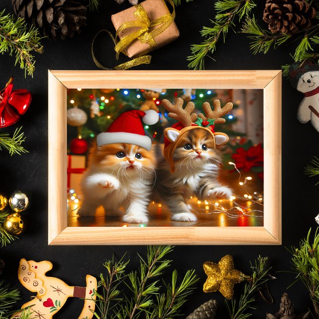 Cute kittens with Santa Claus and reindeer hats 1 Poster (Creator Uploaded)