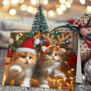 Cute kittens with Santa Claus and reindeer hats 1 Thank You Card