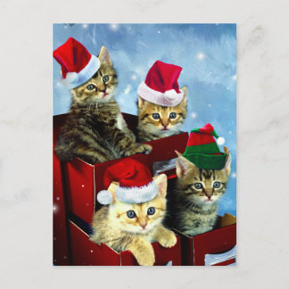 Cute kittens with x-mas hats postcard