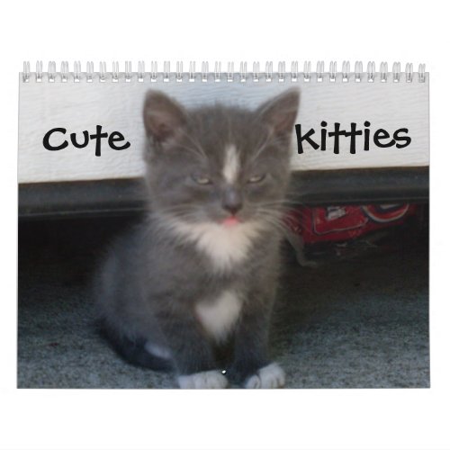 CUTE KITTIES calendar