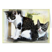 cute kitties card (Front Horizontal)