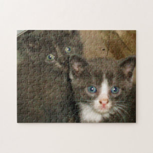 CUTE KITTIES JIGSAW PUZZLE