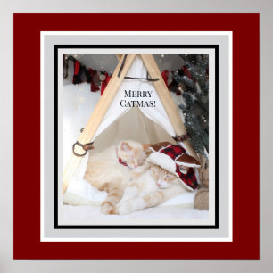Cute Kitties Merry Catmas Christmas Canvas Poster