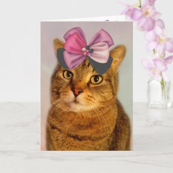 Cute Kitty And Bow Birthday Card by Therupieshop at Zazzle