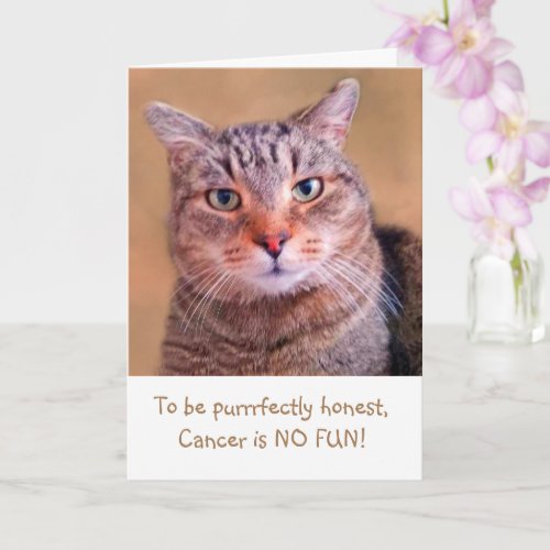 Cute Kitty Cancer Support Card
