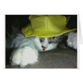 CUTE KITTY CAT (Front Horizontal)