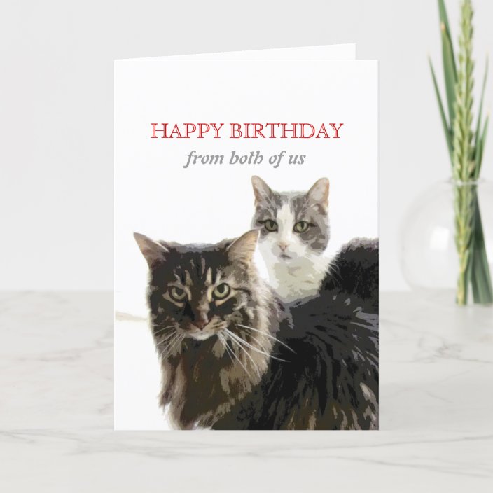 cute kitty cat Birthday Card from both of us | Zazzle.com