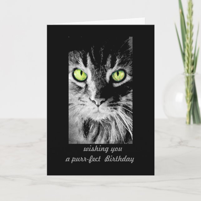 cute kitty cat Birthday Card photo art humorous (Front)