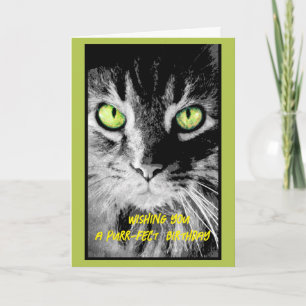 cute kitty cat birthday photo art humorous card