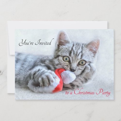 Cute Kitty Cat Biting a Red Santa Hat Christmas Invitation