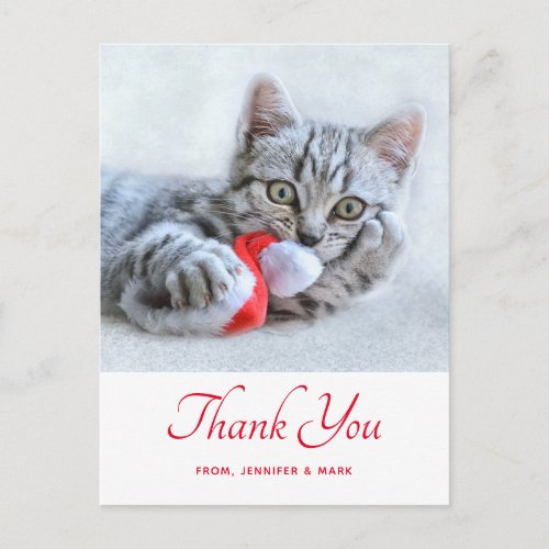 Cute Kitty Cat Biting Red Santa Hat Xmas Thank You Postcard