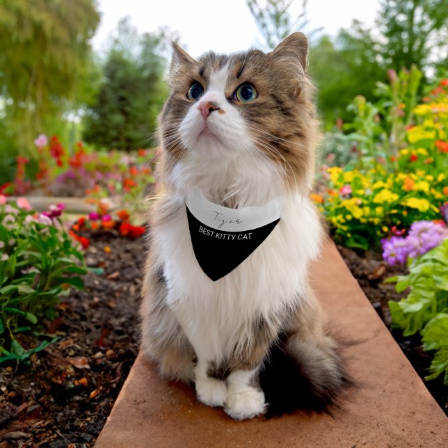 CUTE KITTY CAT BLACK AND WHITE NAME WITH MESSAGE PET BANDANA COLLAR (Cat)