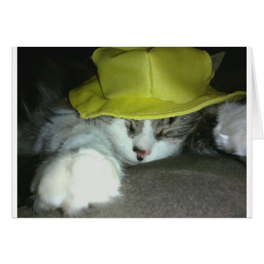 CUTE KITTY CAT CARDS (Front Horizontal)