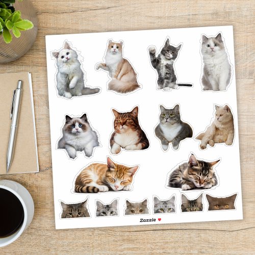 Cute Kitty Cat Collection Stickers