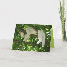 Cute Kitty Cat Cute Customizable Card