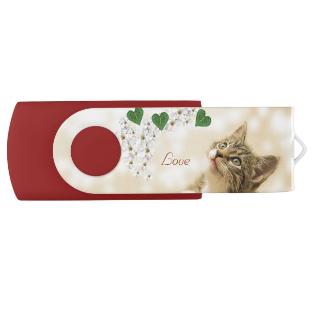 Cute Kitty Cat, Flowers and Hearts Flash Drive (Front)