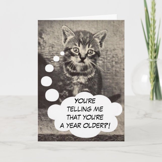 Cute Kitty Cat Kitten Happy Birthday Pussycat Card (Front)