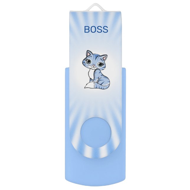 Cute Kitty Cat on Light Blue and White Rays Flash Drive (Front Vertical)
