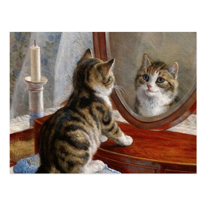 Cute Kitty Cat Vintage Painting By Frank Paton Postcard Zazzle Com