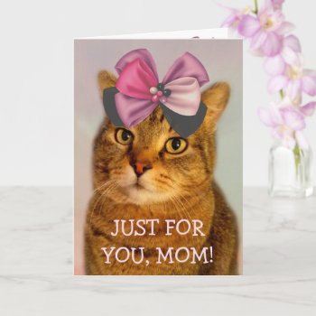 Cute Kitty For Mom Birthday Card by Therupieshop at Zazzle
